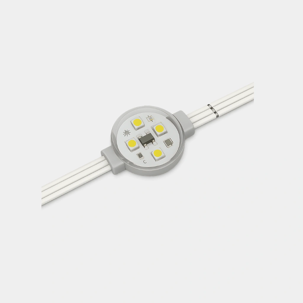 Neon Flex LED